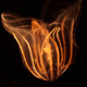 Illustration for article titled 9 Amazing Discoveries At The Bottom Of The Ocean I Would Like Back Now, Please